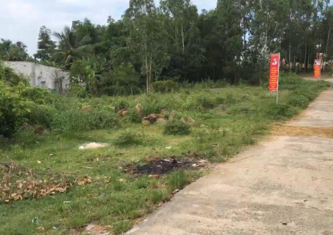 Bán đất mặt tiền 40m, đường DH8 (Đường đi KDL Suối khoáng Phước Nhơn, Đồng Xanh – Đồng Nghệ), Hòa Khương