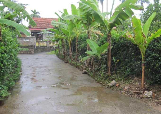 Bán đất vườn, nhà tại quê xã Nguyên Lý_Huyện Lý Nhân, tỉnh Hà Nam