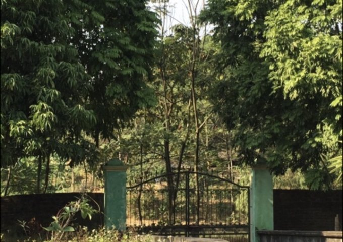 Bán nhà vườn Xóm Vân(Làng Đào) khu 4 xã Thanh Minh, thị xã Phú Thọ 1500m2, giá 800tr