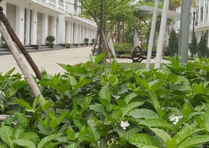 Cho thuê shophouse B1-24 Vinhomes Gardenia, đường Hàm Nghi