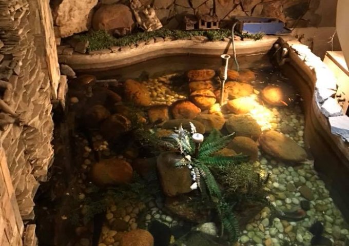 Bán nhà ngõ to hơn phố 377 lâm du long biên, HN, 125m2 x 4 tầng, mt 5m, 9.9 tỷ