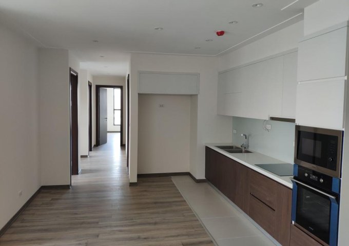 Căn hộ Northern Diamond Thạch Bàn nội thất chủ đầu tư bàn giao