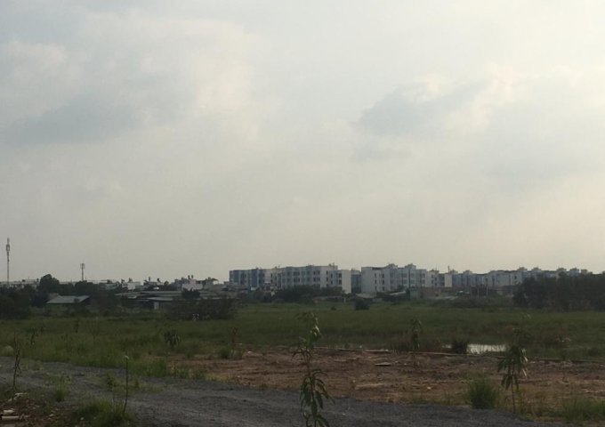 Bán đất tại Bình Chánh, Hồ Chí Minh