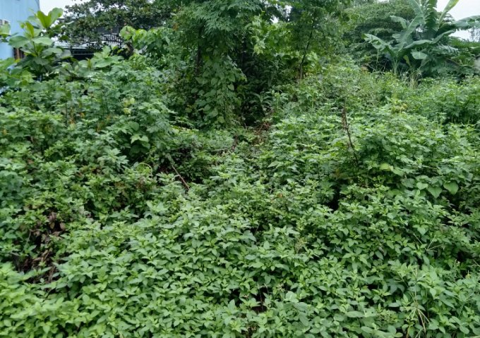 Đất mặt tiền đường Lê Duẩn, phường Đông Thanh, Đông Hà