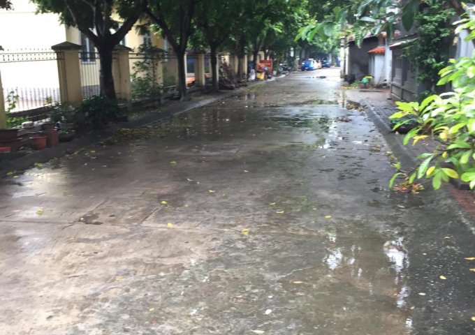 Bán lô đất đẹp ngõ 99 Gia Thượng, Thượng Thanh, Long Biên