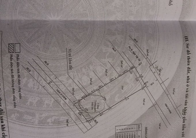 cần bán gấp 2 căn nhà cấp 4. tại 117/128/9 nguyễn hữu cảnh. bình thạnh