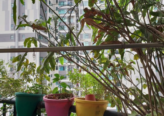 Cho thuê chung cư Sico Tower 18 Phạm Hùng 100m2 đồ cơ bản làm 10tr/th – 0968481288