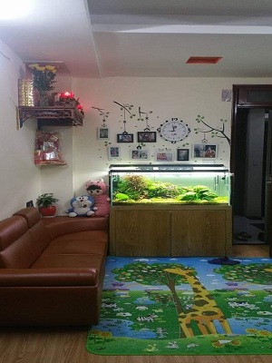 Bán căn hộ chung cư mini số 66 Giáp Nhất (ngõ 1 Quan Nhân), phường Nhân Chính, quận Thanh Xuân