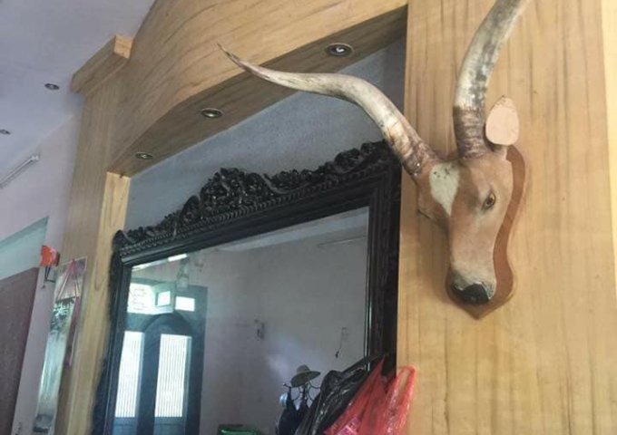 Cần bán nhà số 3A ngõ 275 Đội Cấn, Ba Đình, Hà Nội.