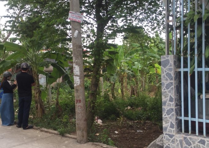 Bán đất tại hẻm 6 đường Bùi Hữu Nghĩa, phường Bình Thủy