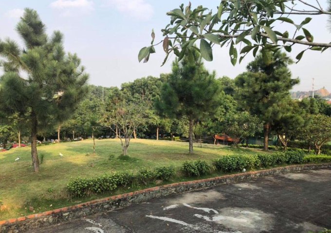 Bán đất dự án Luchky Hill-xã tiến xuân -Huyện thạch thất-Hà nội