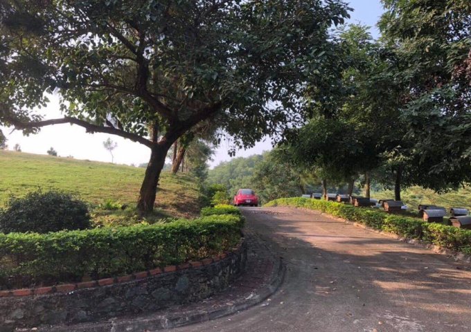 Bán đất dự án Luchky Hill-xã tiến xuân -Huyện thạch thất-Hà nội