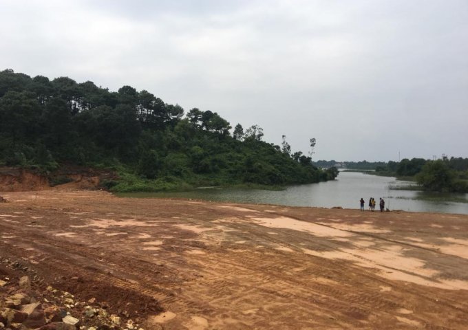 Chính chủ bán căn góc biệt thự ven hồ Venus Flamingo Đại Lải giá gốc hợp đồng 2.18 tỷ