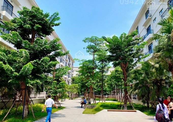 Nhà vườn Pandora Thanh Xuân (5Tx147m2) chỉ 4.2 tỷ nhận nhà, 1 năm sau trả nốt, tặng CHCC, CK 3%