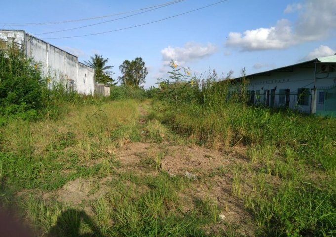 Bán đất tại Đường Quốc lộ 1A, Vĩnh Lợi,  Bạc Liêu diện tích 921m2  giá 250 Triệu/m²