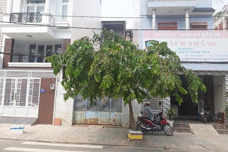 Chính chủ cần tiền đầu tư bán gấp nhà mặt tiền đường 40m, số 161 Phạm Huy Thông, P. 6