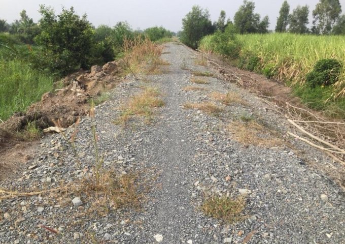 Bán nhanh lô đất thuộc Ấp 3 xã Tân Thành, huyện Thủ Thừa, Long An 