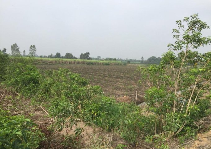 Bán nhanh lô đất thuộc Ấp 3 xã Tân Thành, huyện Thủ Thừa, Long An 