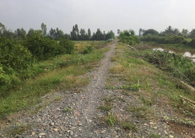 Bán nhanh lô đất thuộc Ấp 3 xã Tân Thành, huyện Thủ Thừa, Long An 