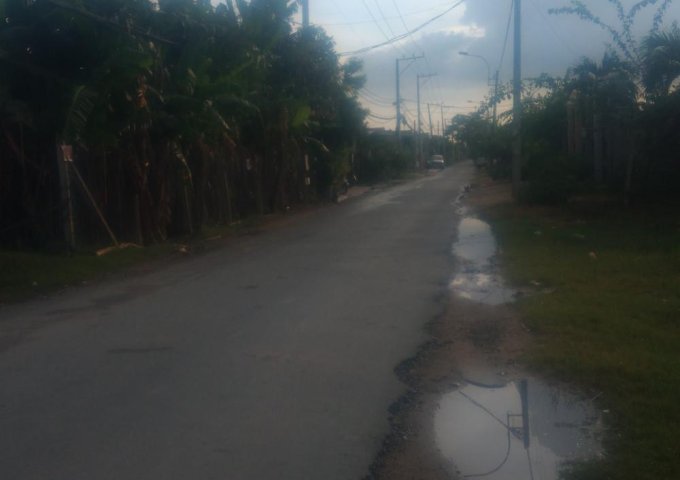 Cần bán đất mặt tiền đường nguyễn văn thê xã quy đức huyện bình chánh