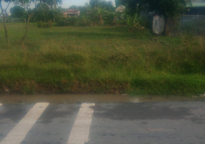 Chính chủ cần bán đất thổ cư mặt tiền đường tân liễu xã hưng long huyện bình chánh