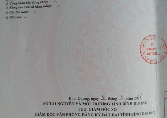 Bán đất đường 84 phú chánh D , phường phú tân, thủ dầu một bình dương