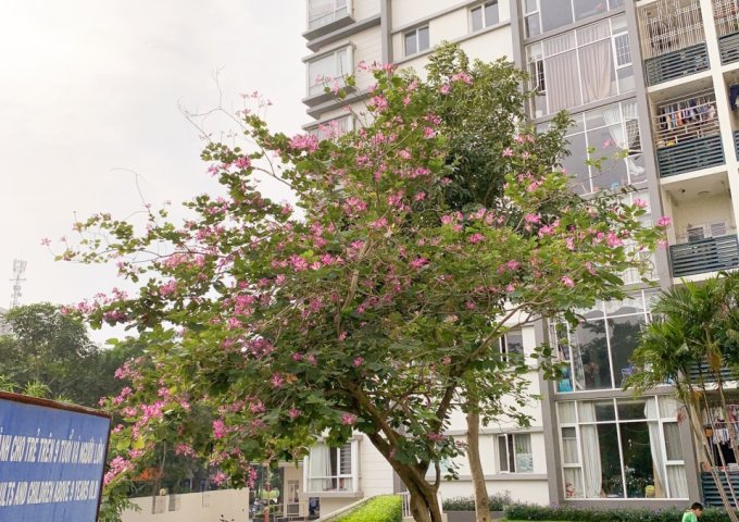 Bán căn hộ chung cư tại Dự án Chung cư Phú Mỹ, Quận 7,  Hồ Chí Minh diện tích 77m2  giá 2.7 Tỷ