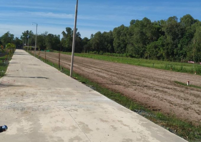 Bán đất nền dự án tại xã Thanh Phước, Gò Dầu, Tây Ninh