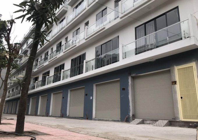 Nhà liền kề Q.Hai Bà Trưng liền kề Time City giá 84tr/m2 chỉ có ở 124 Vĩnh Tuy cơ hội đầu tư tốt.