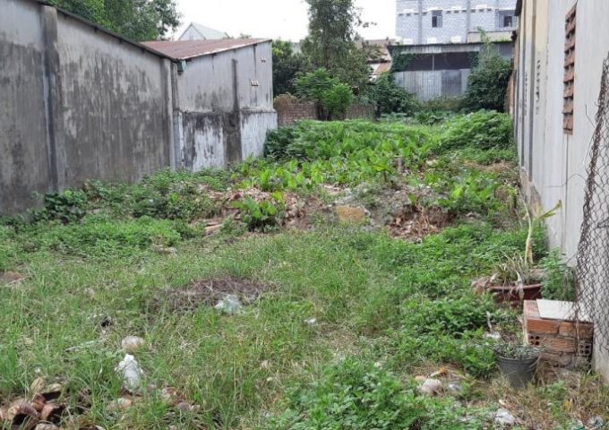 Bán lô đất gần giáo xứ Thanh Hóa, xã Hố Nai 3, diện tích 7x42m