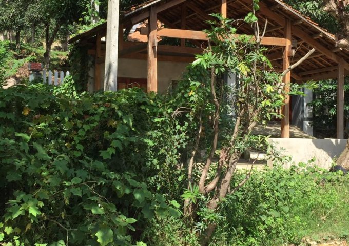 Bán 35000m2 đất KCN Suối Dầu, KCN Trảng É - Suối Tân - Cam Lâm - Khánh Hòa