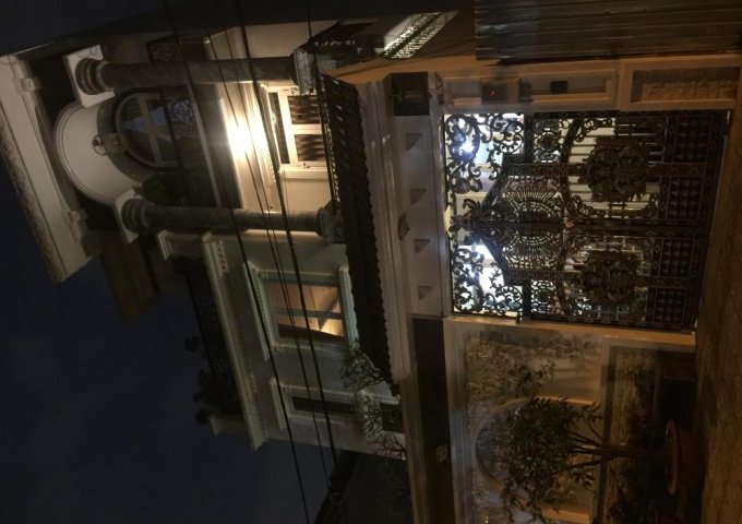 -Biệt thự mặt tiền đường số 10C khu dân cư Vĩnh Lộc khu phố 3 phường Bình Hưng Hoà B, Bình Tân