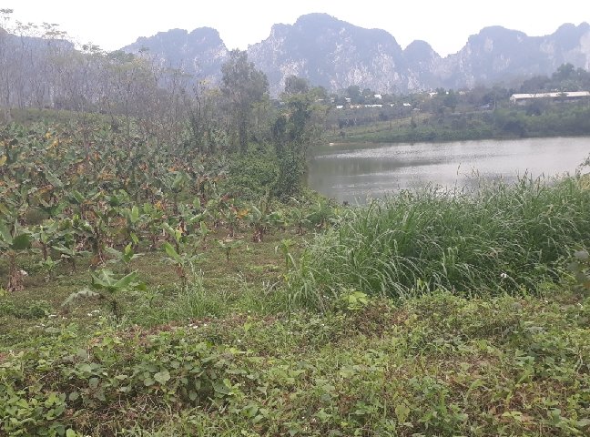 Bán 2ha đất làm trại gà view hồ suối tại Tân Thành Lương Sơn Hòa Bình