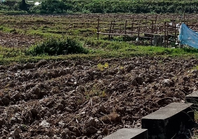 Bán đất đấu giá khu Quang Tiến, Sóc Sơn, KD cực tốt, 110m2, 7,2 tr/m2 Nằm ở khu tái định cư thôn Bắc Hạ, xã Quang Tiến, Sóc Sơn. Gần sân bay Nội Bài. 