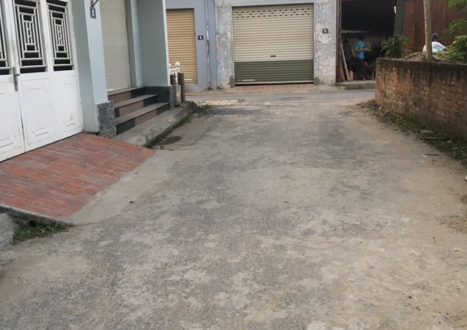 Bán đất ngõ 115 Máng Nước, Cái Tắt, An Đồng, An Dương, Hải Phòng. Giá 1.25 tỷ