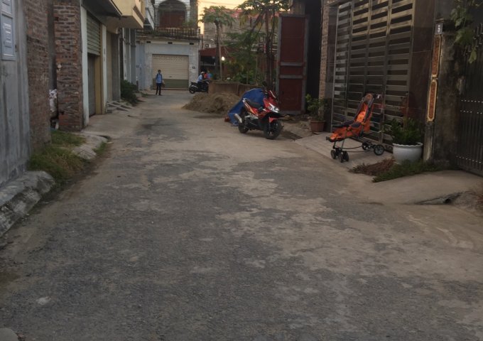 Bán đất ngõ 115 Máng Nước, Cái Tắt, An Đồng, An Dương, Hải Phòng. Giá 1.25 tỷ