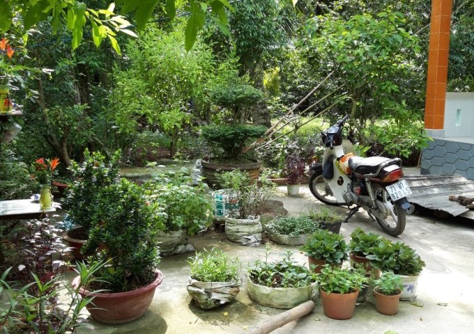 Bán nhà đất vườn sổ đỏ chính chủ, giá hấp dẫn tại Mỏ Cày Nam, Bên Tre.