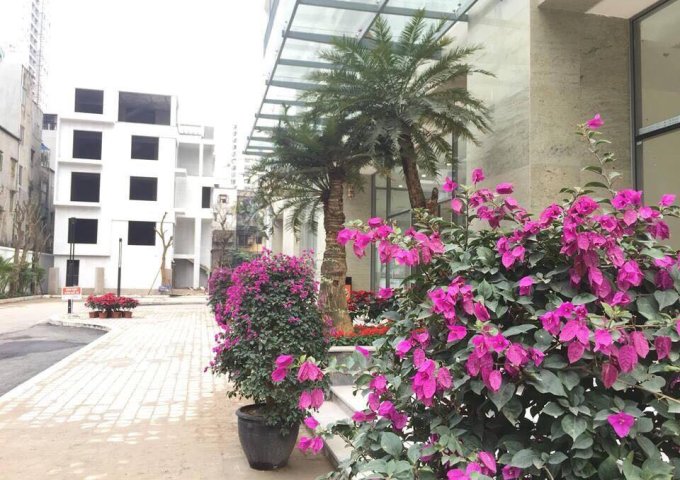 Qũy hàng ngoại giao dự án Thống Nhất Complex 82 Nguyễn Tuân