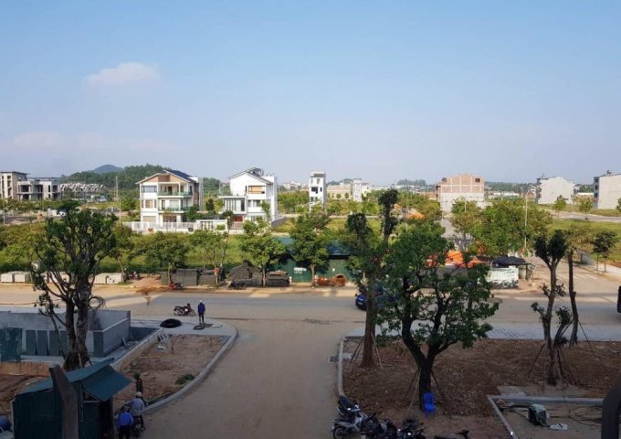 Bán đất 2 ô đất tại khu đô thị Nam Vĩnh Yên