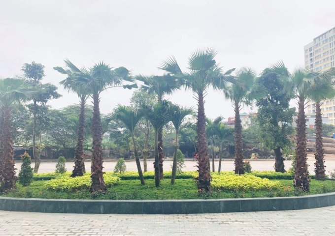 Tecco Skyville Tower - KĐT  Tứ Hiệp- Thanh Trì- Hà Nội