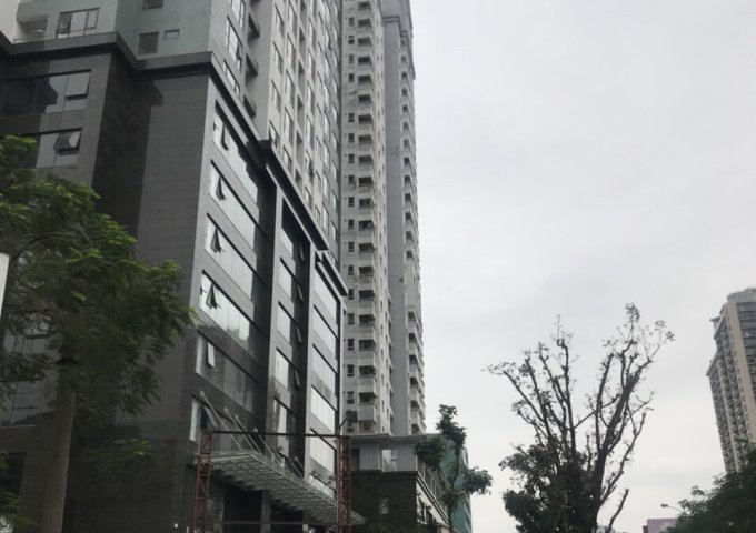 Căn hộ chung cư 97-99 Láng Hạ, giá 38 tr/m2, ký trực tiếp CĐT, hỗ trợ vay vốn 70%