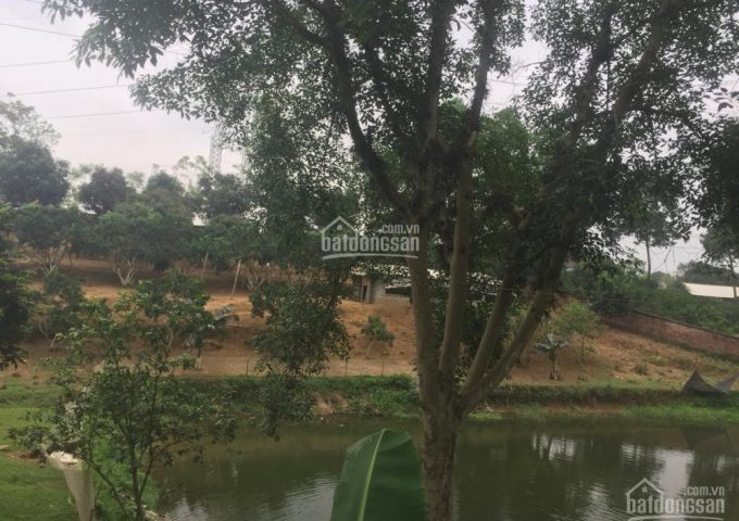 Cần bán 8000m2 đất trang trại khuôn viên hoàn thiện tại Lương Sơn, Hòa Bình, giá rẻ