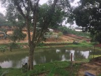 Cần bán 8000m2 đất trang trại khuôn viên hoàn thiện tại Lương Sơn, Hòa Bình, giá rẻ
