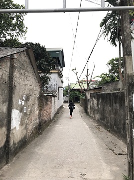 Bán đất thôn Nguyên Bì, Quất Động - Thường Tín, Hà Nội
