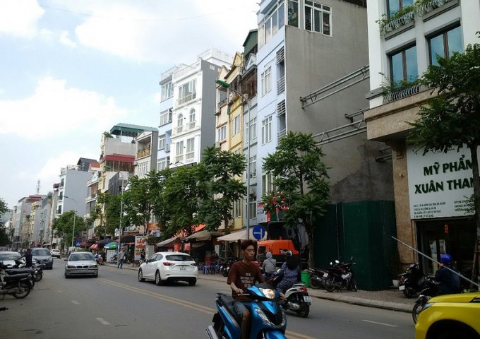 Hàng hiếm mặt phố Phạm Ngọc Thạch, 48m2, 7 tầng, MT 5m. Thương lượng