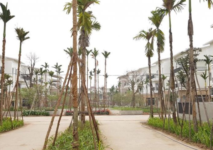 Bán suất ngoại giao liền kề 144m2 hướng Đông Bắc dự án Trầu Cau Garden, HUD B, TP. Bắc Ninh