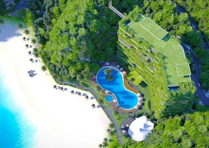 Căn hộ view biển Flamingo Cát Bà Beach Resort lợi nhuận khủng 50%  Căn hộ View Biển Diện tích 36 m2, Giá bán sau khi trừ ưu đãi chỉ 2,5 tỷ/căn - Đầu t