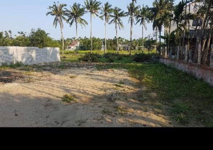 Bán đất tại Phường Cẩm Thanh, Hội An,  Quảng Nam diện tích 297.1m2  giá 5 Tỷ