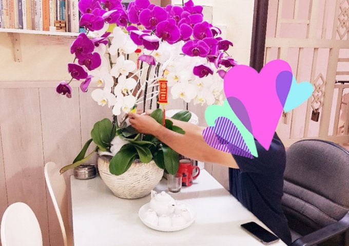 Bán căn hộ chung cư tại Dự án An Bình Plaza (Sunshine Tower), Dĩ An, Bình Dương diện tích 45m2 giá 750 Triệu