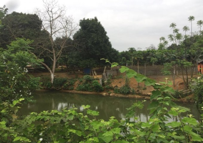 Chính chủ cần bán trang trại nhà vườn 6000m2, Lương Sơn, Hòa Bình.